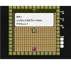 『アドベンチャーズ　オブ　ロロⅡ』ゲーム画面